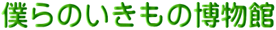 僕らのいきもの博物館